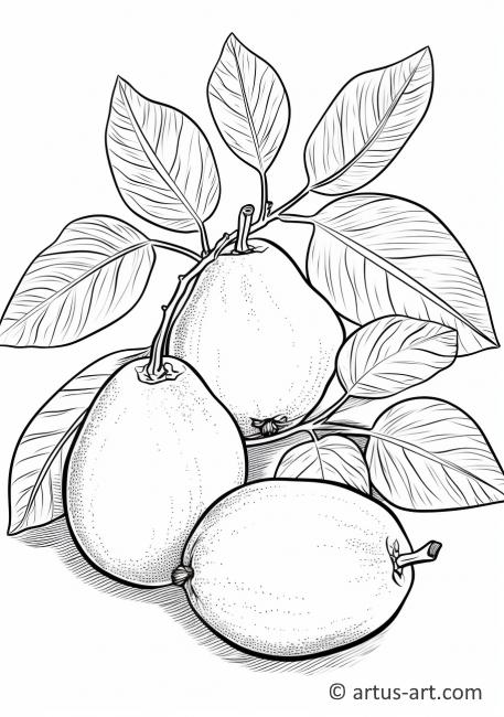 Guava still life Coloring Page